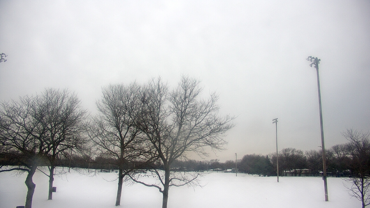 Thumbnail for current weather camera view from Caruso Middle School in Deerfield, Illinois