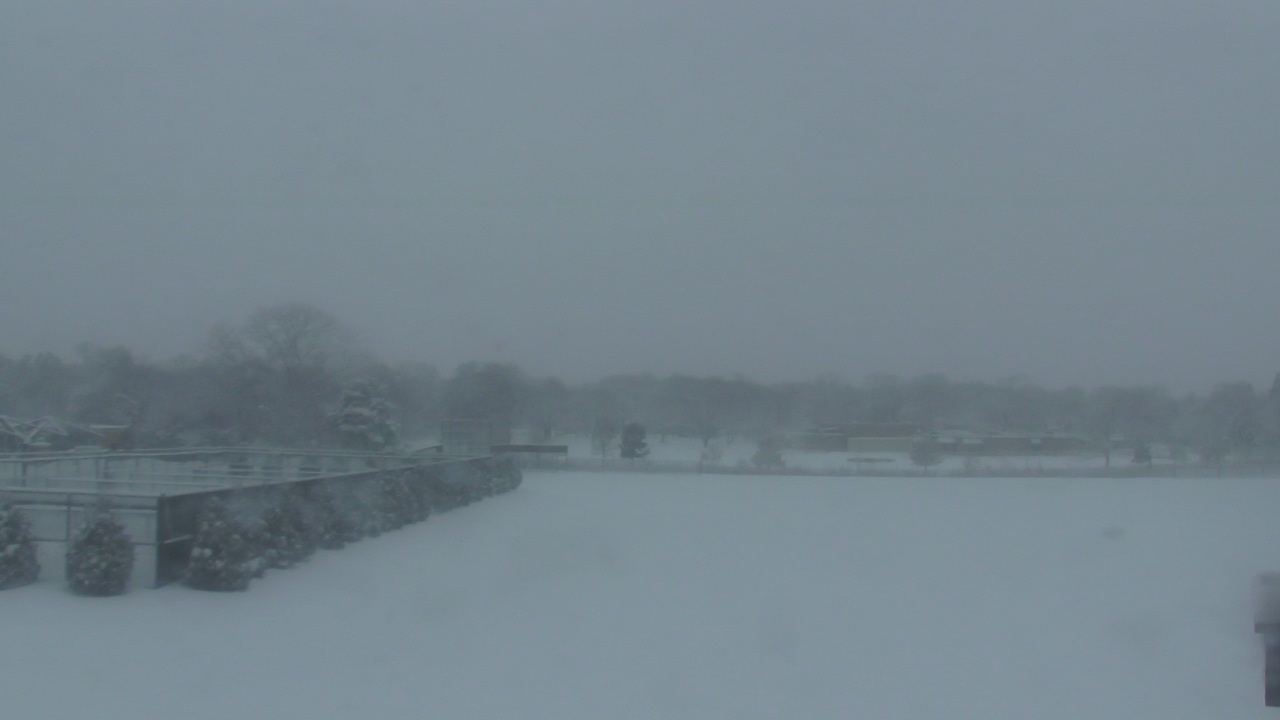 Thumbnail for current weather camera view from Shepard MS in Deerfield, Illinois