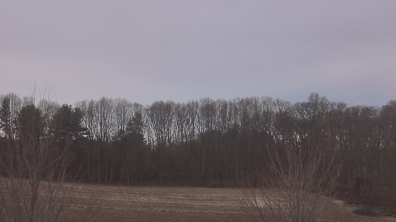 Thumbnail for current weather camera view from Mary of Nazareth School in Darnestown, Maryland