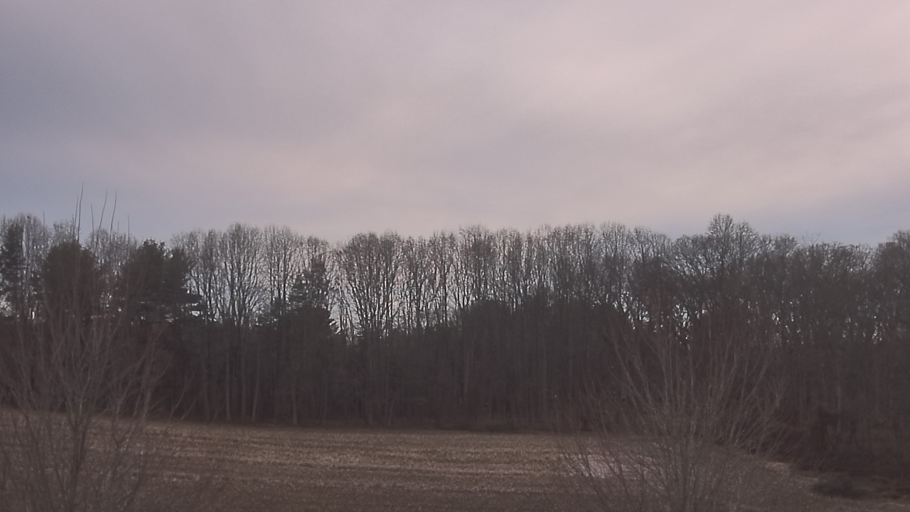 Thumbnail for current weather camera view from Mary of Nazareth School in Darnestown, Maryland