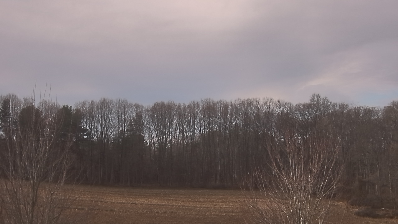 Thumbnail for current weather camera view from Mary of Nazareth School in Darnestown, Maryland