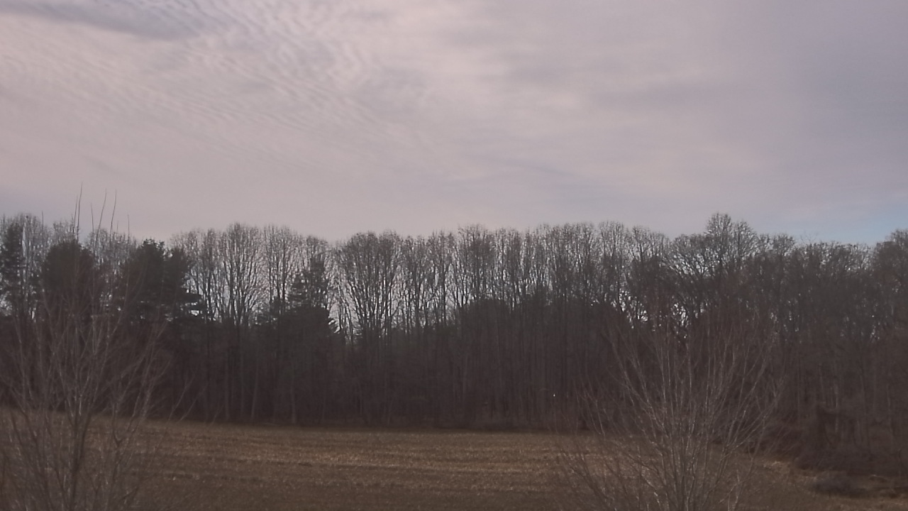 Thumbnail for current weather camera view from Mary of Nazareth School in Darnestown, Maryland