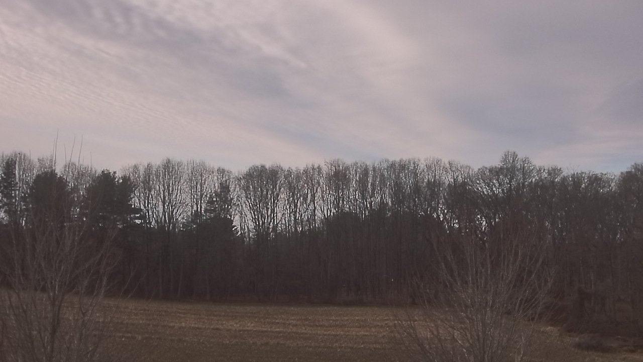 Thumbnail for current weather camera view from Mary of Nazareth School in Darnestown, Maryland