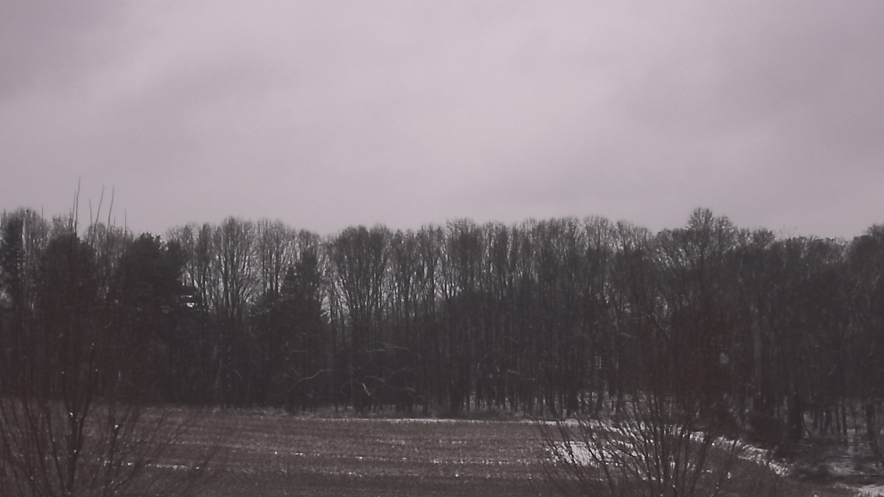 Thumbnail for current weather camera view from Mary of Nazareth School in Darnestown, Maryland