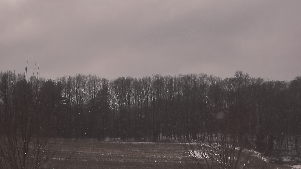 Thumbnail for current weather camera view from Mary of Nazareth School in Darnestown, Maryland