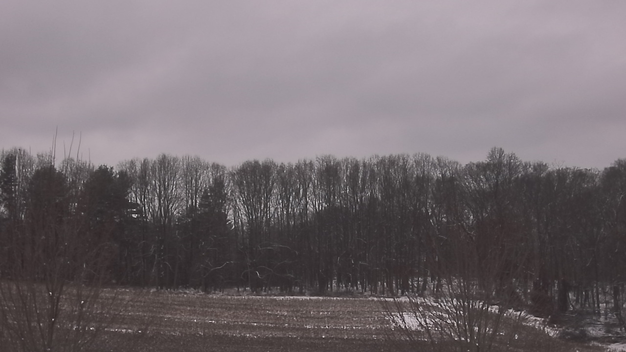 Thumbnail for current weather camera view from Mary of Nazareth School in Darnestown, Maryland