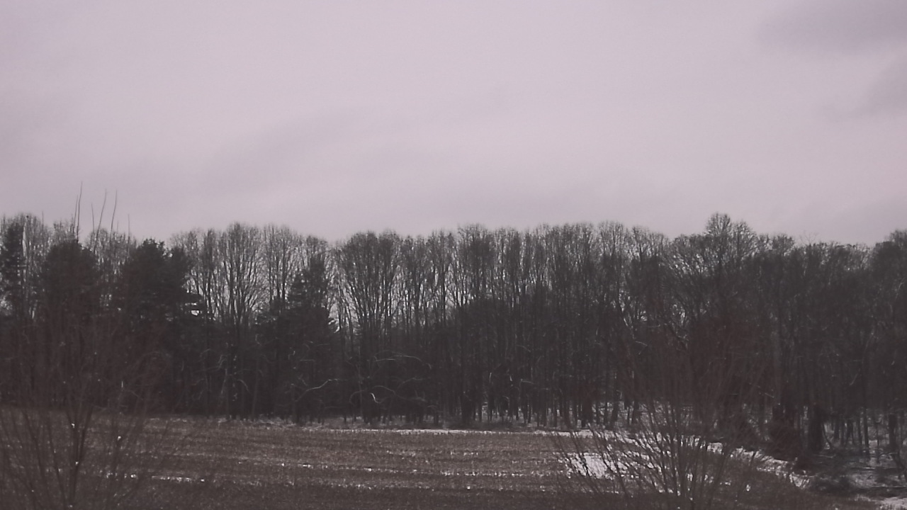 Thumbnail for current weather camera view from Mary of Nazareth School in Darnestown, Maryland