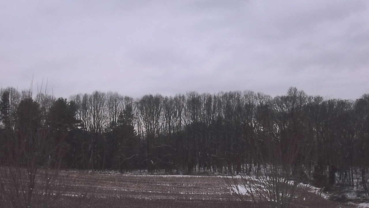 Thumbnail for current weather camera view from Mary of Nazareth School in Darnestown, Maryland