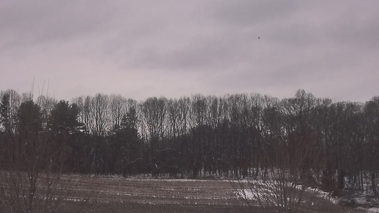 Thumbnail for current weather camera view from Mary of Nazareth School in Darnestown, Maryland