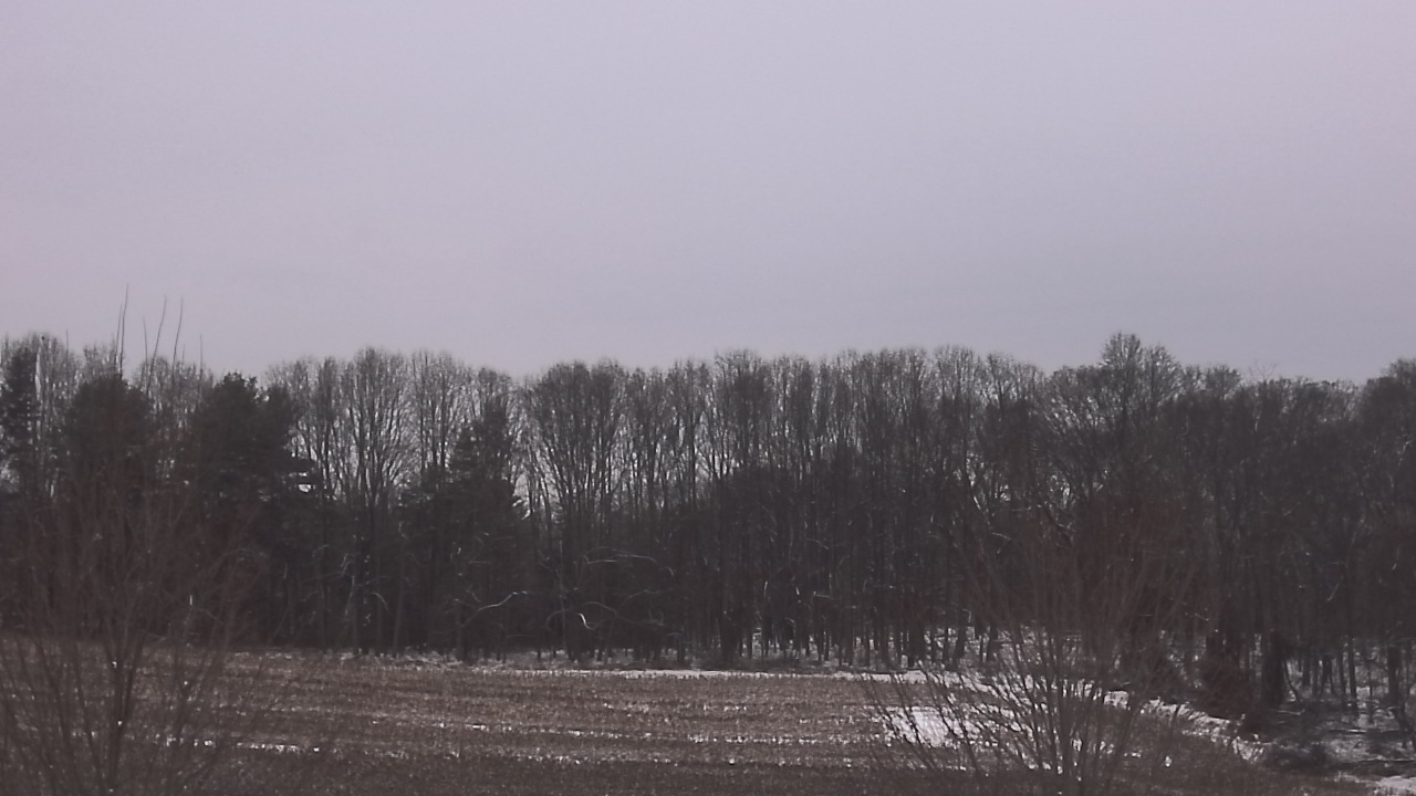 Thumbnail for current weather camera view from Mary of Nazareth School in Darnestown, Maryland