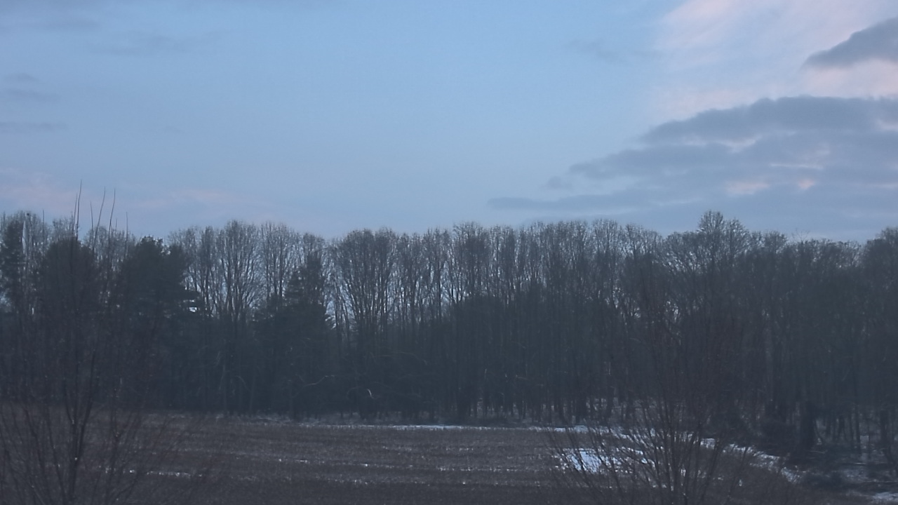 Thumbnail for current weather camera view from Mary of Nazareth School in Darnestown, Maryland