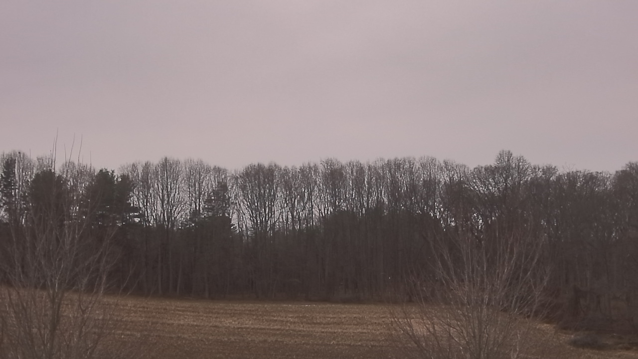 Thumbnail for current weather camera view from Mary of Nazareth School in Darnestown, Maryland