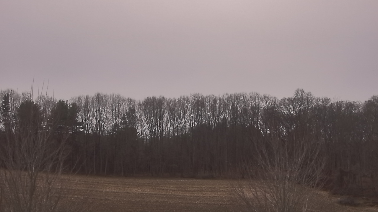 Thumbnail for current weather camera view from Mary of Nazareth School in Darnestown, Maryland