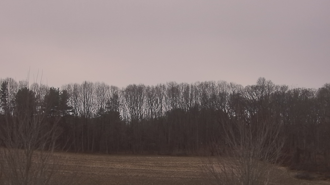 Thumbnail for current weather camera view from Mary of Nazareth School in Darnestown, Maryland