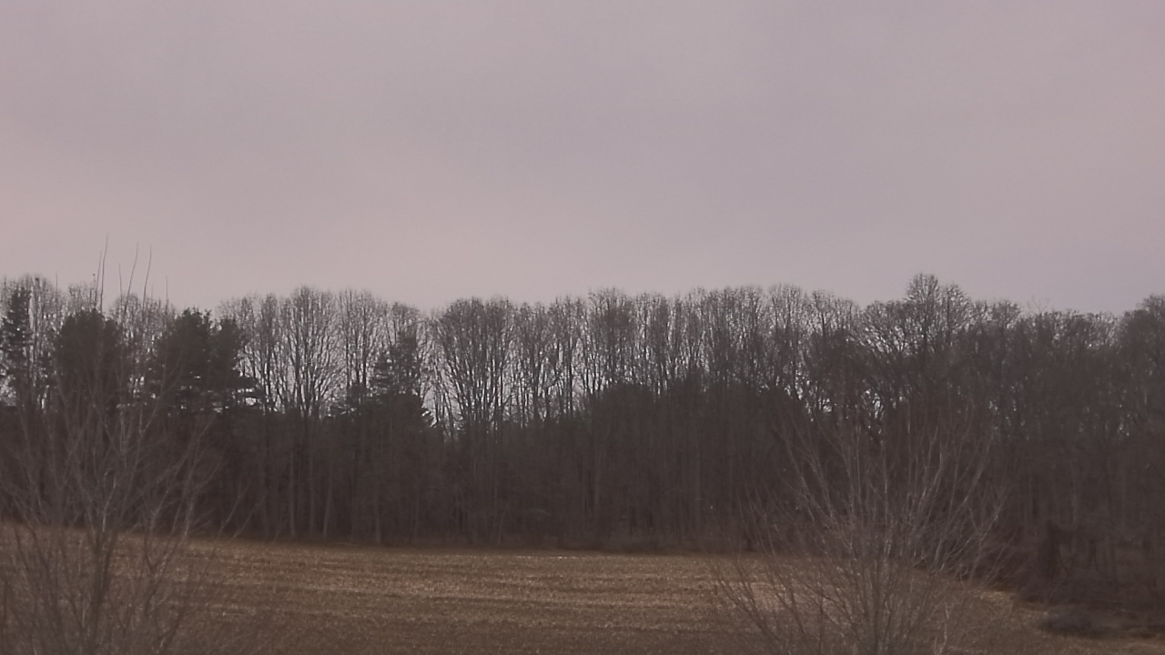 Thumbnail for current weather camera view from Mary of Nazareth School in Darnestown, Maryland