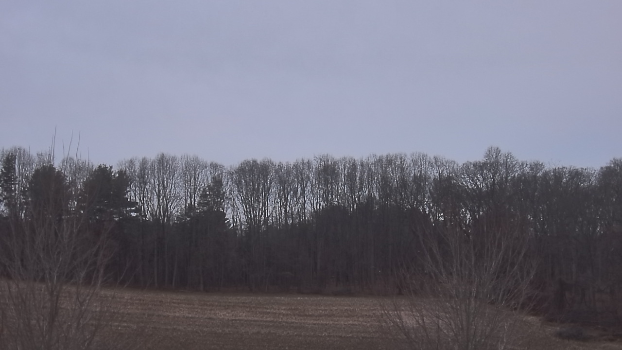 Thumbnail for current weather camera view from Mary of Nazareth School in Darnestown, Maryland