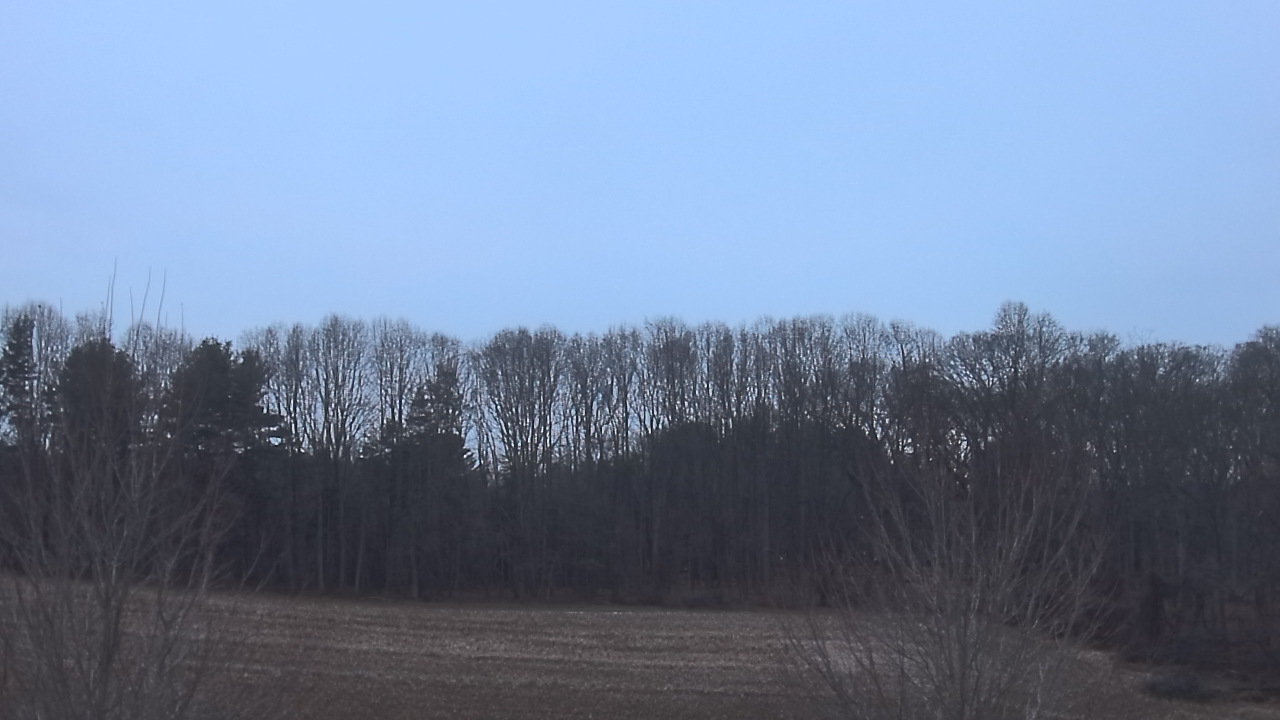 Thumbnail for current weather camera view from Mary of Nazareth School in Darnestown, Maryland