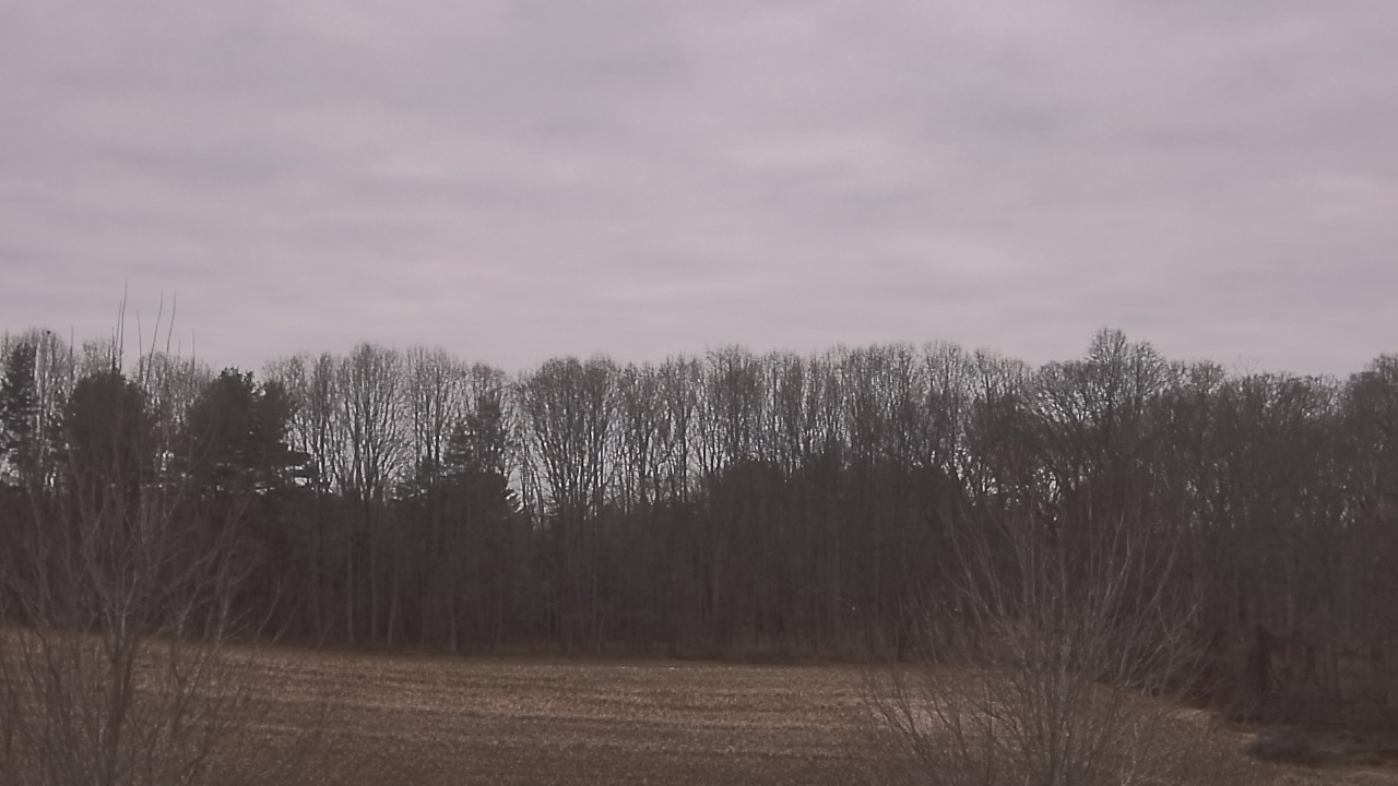 Thumbnail for current weather camera view from Mary of Nazareth School in Darnestown, Maryland