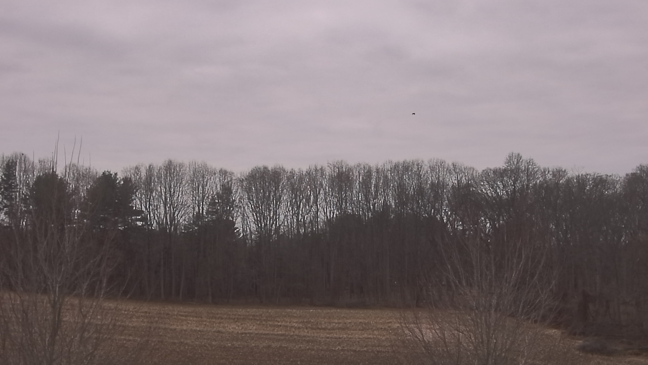 Thumbnail for current weather camera view from Mary of Nazareth School in Darnestown, Maryland