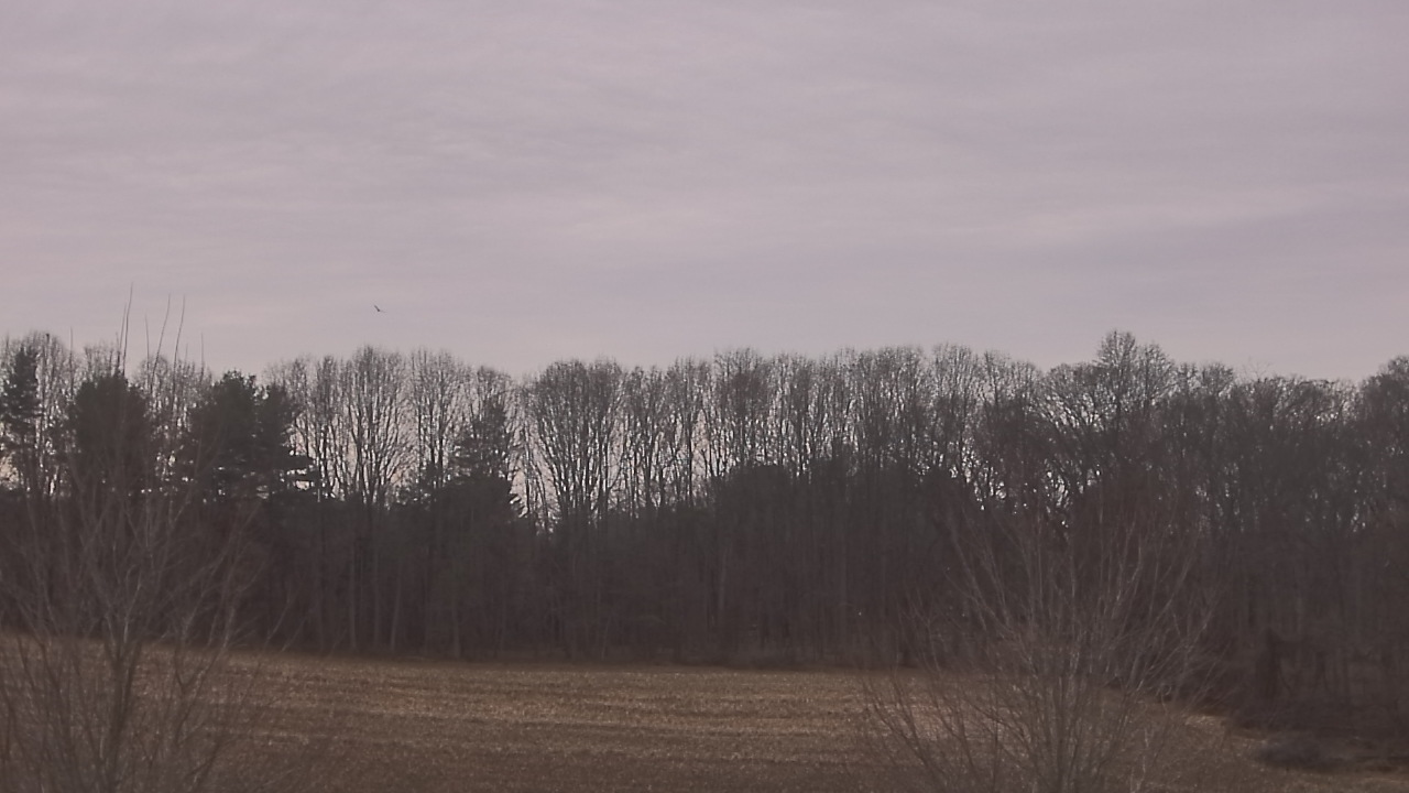 Thumbnail for current weather camera view from Mary of Nazareth School in Darnestown, Maryland