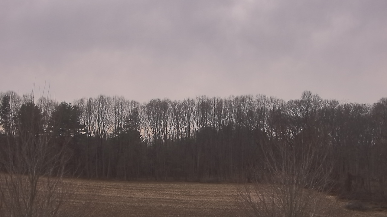 Thumbnail for current weather camera view from Mary of Nazareth School in Darnestown, Maryland