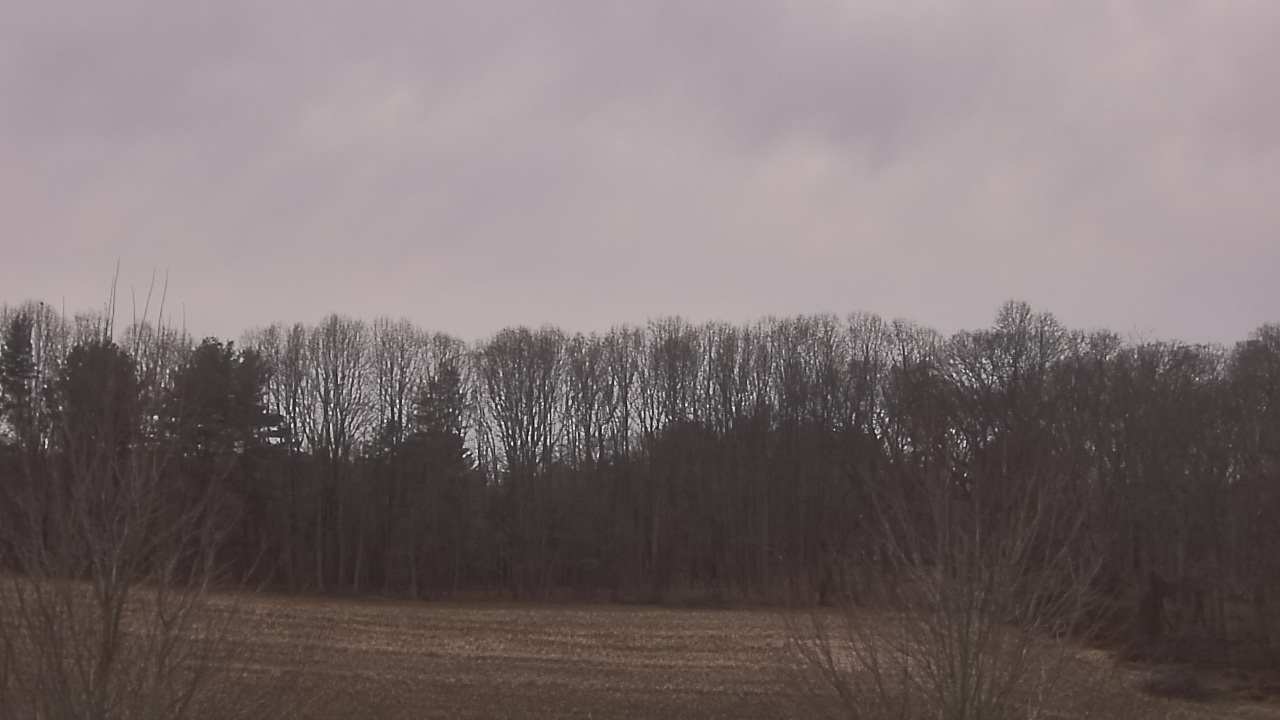 Thumbnail for current weather camera view from Mary of Nazareth School in Darnestown, Maryland