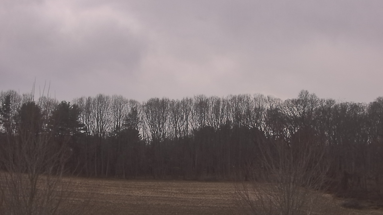 Thumbnail for current weather camera view from Mary of Nazareth School in Darnestown, Maryland