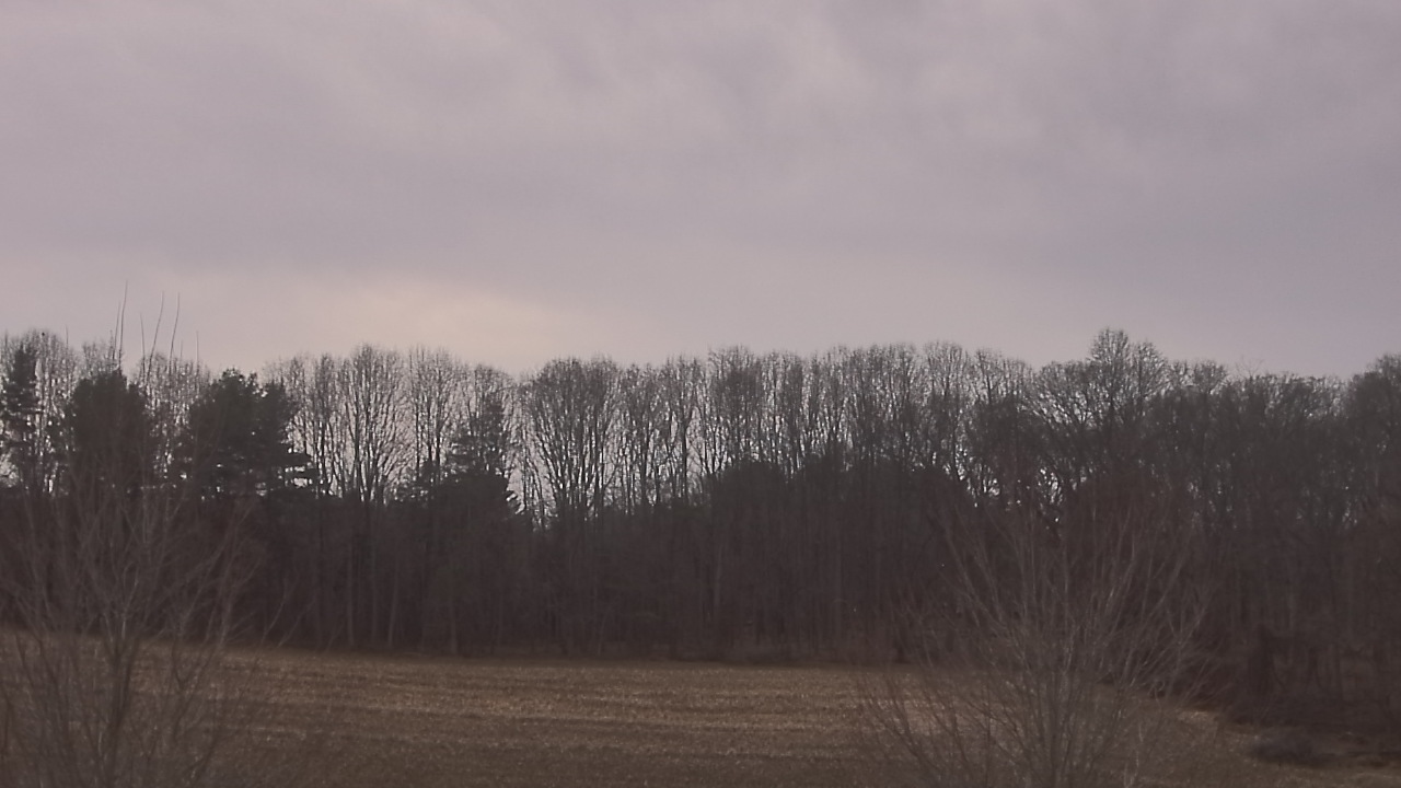 Thumbnail for current weather camera view from Mary of Nazareth School in Darnestown, Maryland