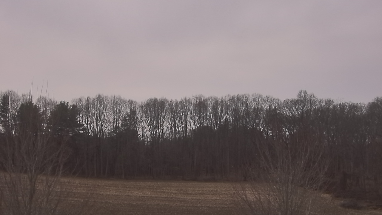 Thumbnail for current weather camera view from Mary of Nazareth School in Darnestown, Maryland