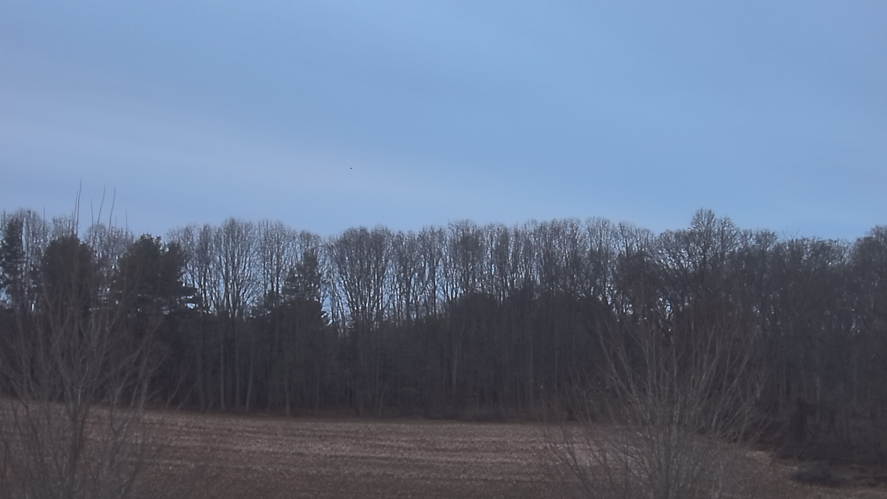 Thumbnail for current weather camera view from Mary of Nazareth School in Darnestown, Maryland