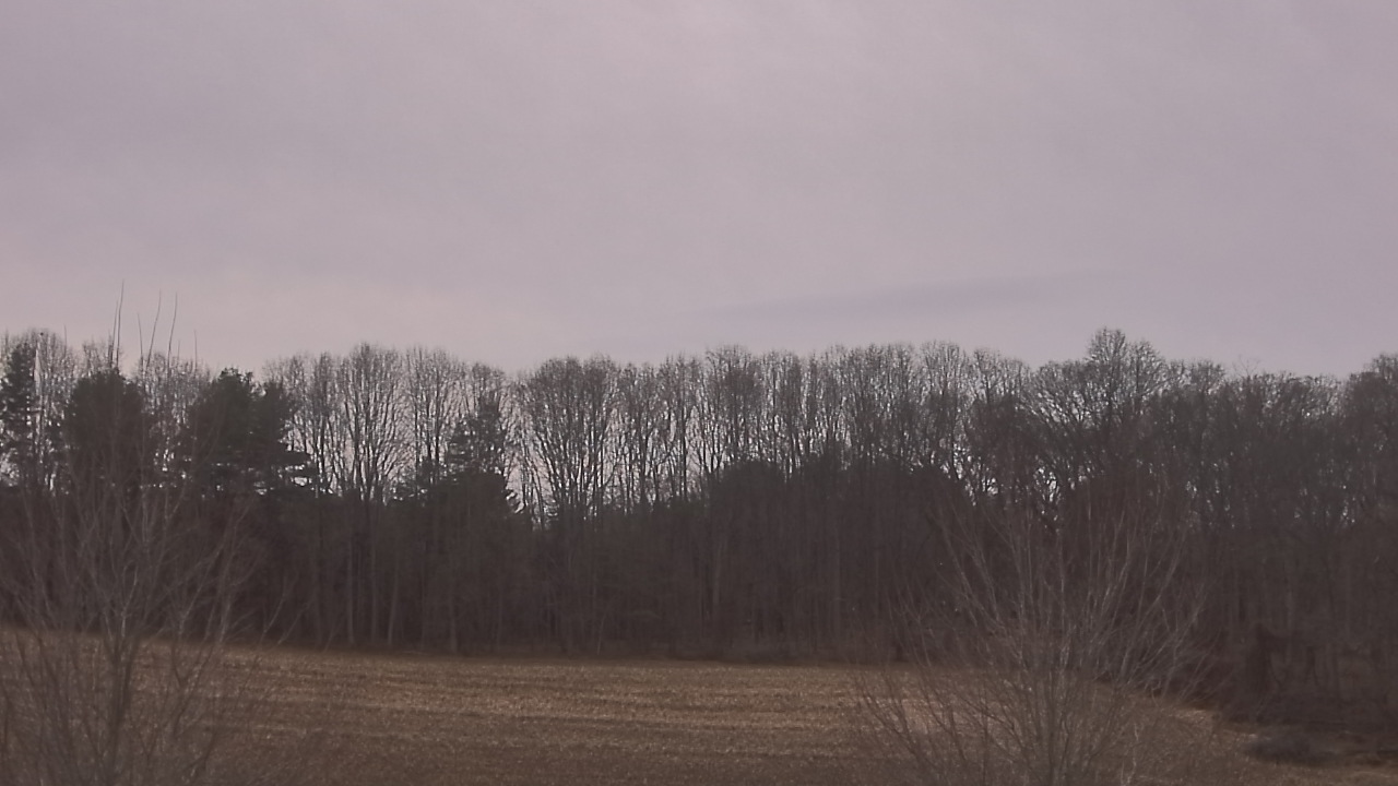 Thumbnail for current weather camera view from Mary of Nazareth School in Darnestown, Maryland