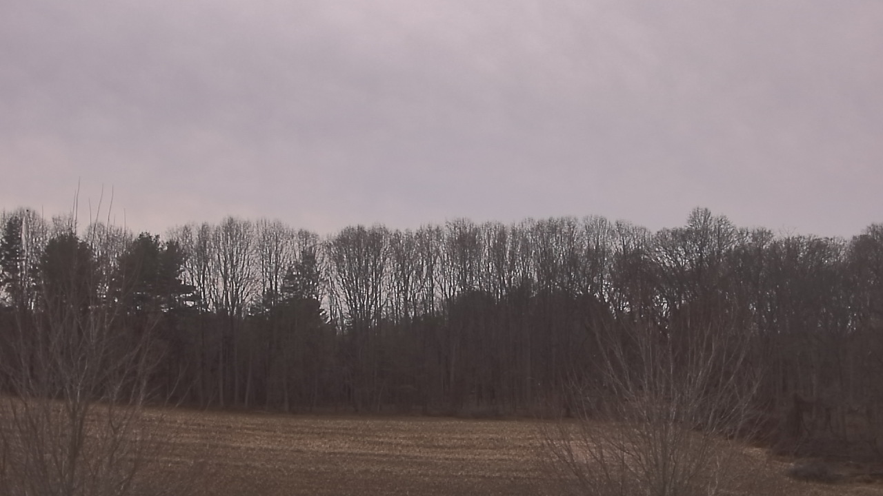 Thumbnail for current weather camera view from Mary of Nazareth School in Darnestown, Maryland