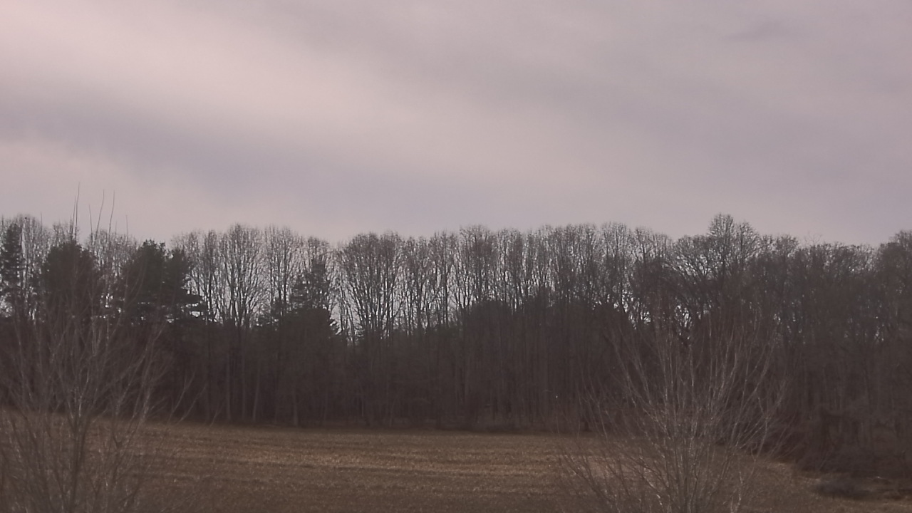 Thumbnail for current weather camera view from Mary of Nazareth School in Darnestown, Maryland