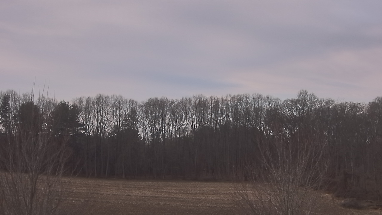 Thumbnail for current weather camera view from Mary of Nazareth School in Darnestown, Maryland