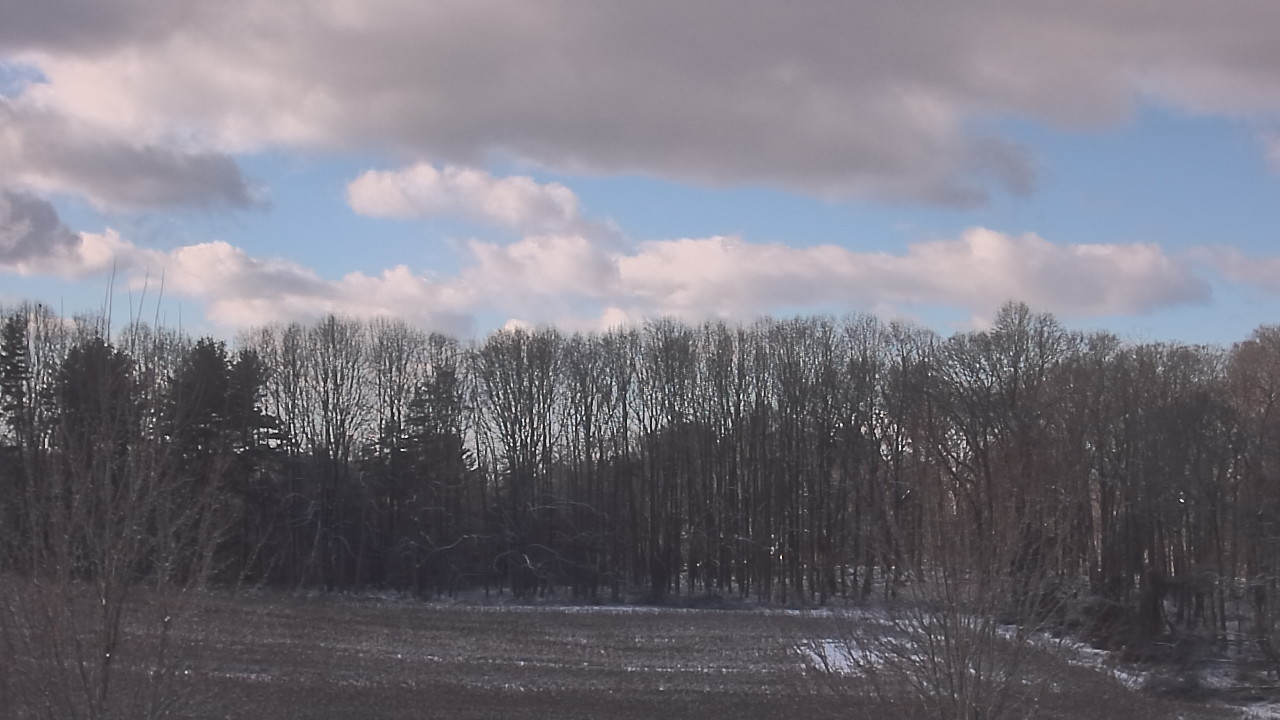 Thumbnail for current weather camera view from Mary of Nazareth School in Darnestown, Maryland