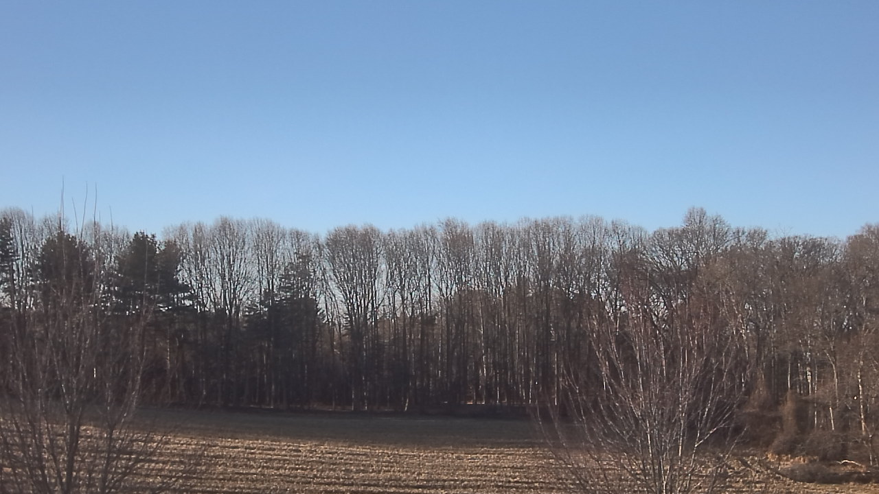 Thumbnail for current weather camera view from Mary of Nazareth School in Darnestown, Maryland