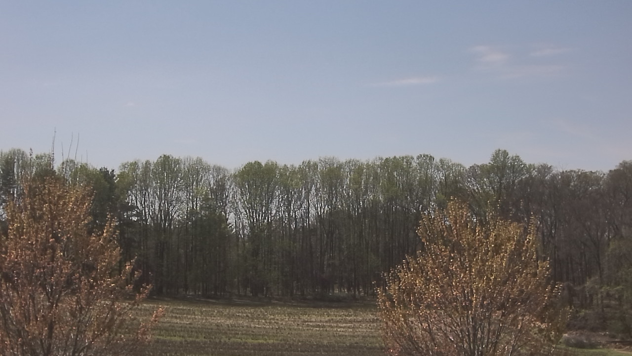 Thumbnail for current weather camera view from Mary of Nazareth School in Darnestown, Maryland