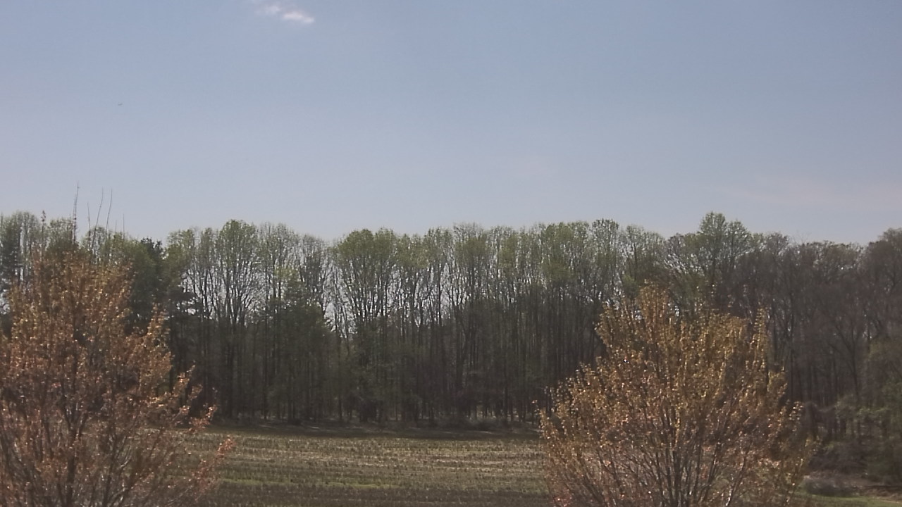 Thumbnail for current weather camera view from Mary of Nazareth School in Darnestown, Maryland