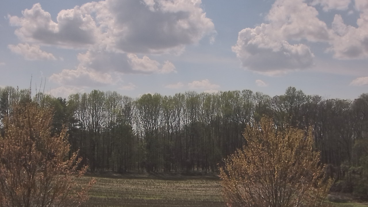 Thumbnail for current weather camera view from Mary of Nazareth School in Darnestown, Maryland