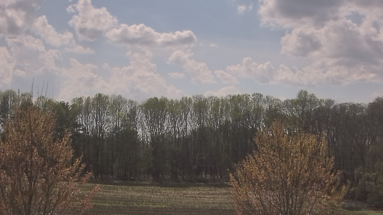 Thumbnail for current weather camera view from Mary of Nazareth School in Darnestown, Maryland