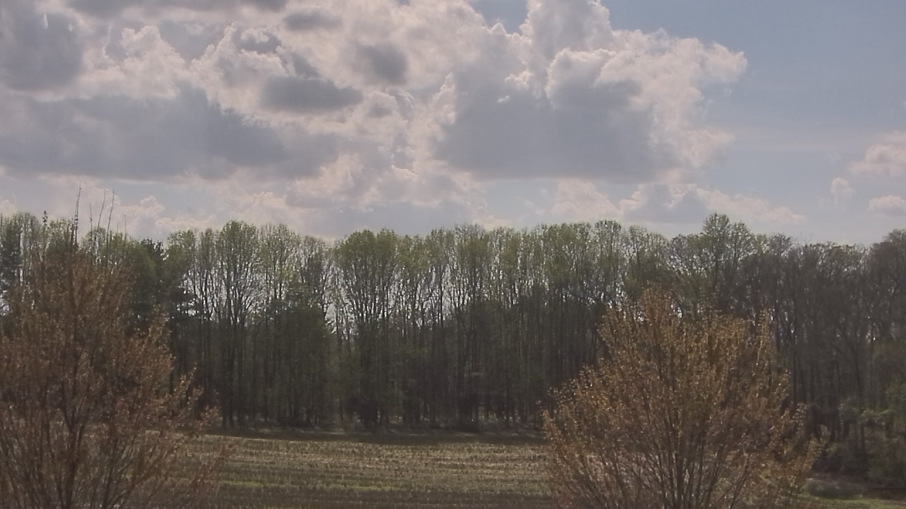 Thumbnail for current weather camera view from Mary of Nazareth School in Darnestown, Maryland