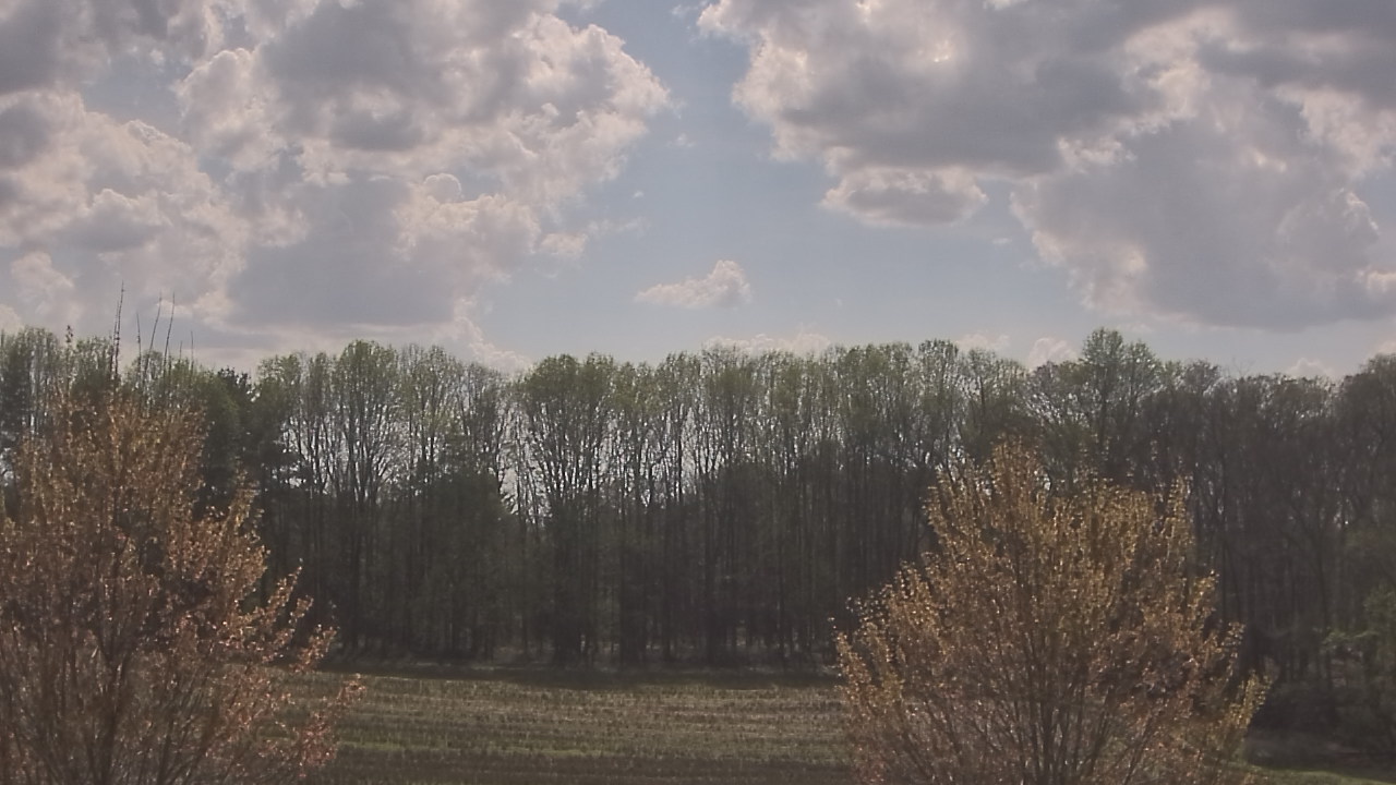 Thumbnail for current weather camera view from Mary of Nazareth School in Darnestown, Maryland