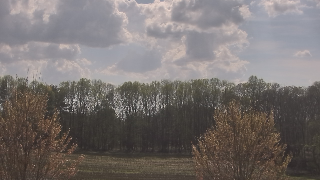 Thumbnail for current weather camera view from Mary of Nazareth School in Darnestown, Maryland