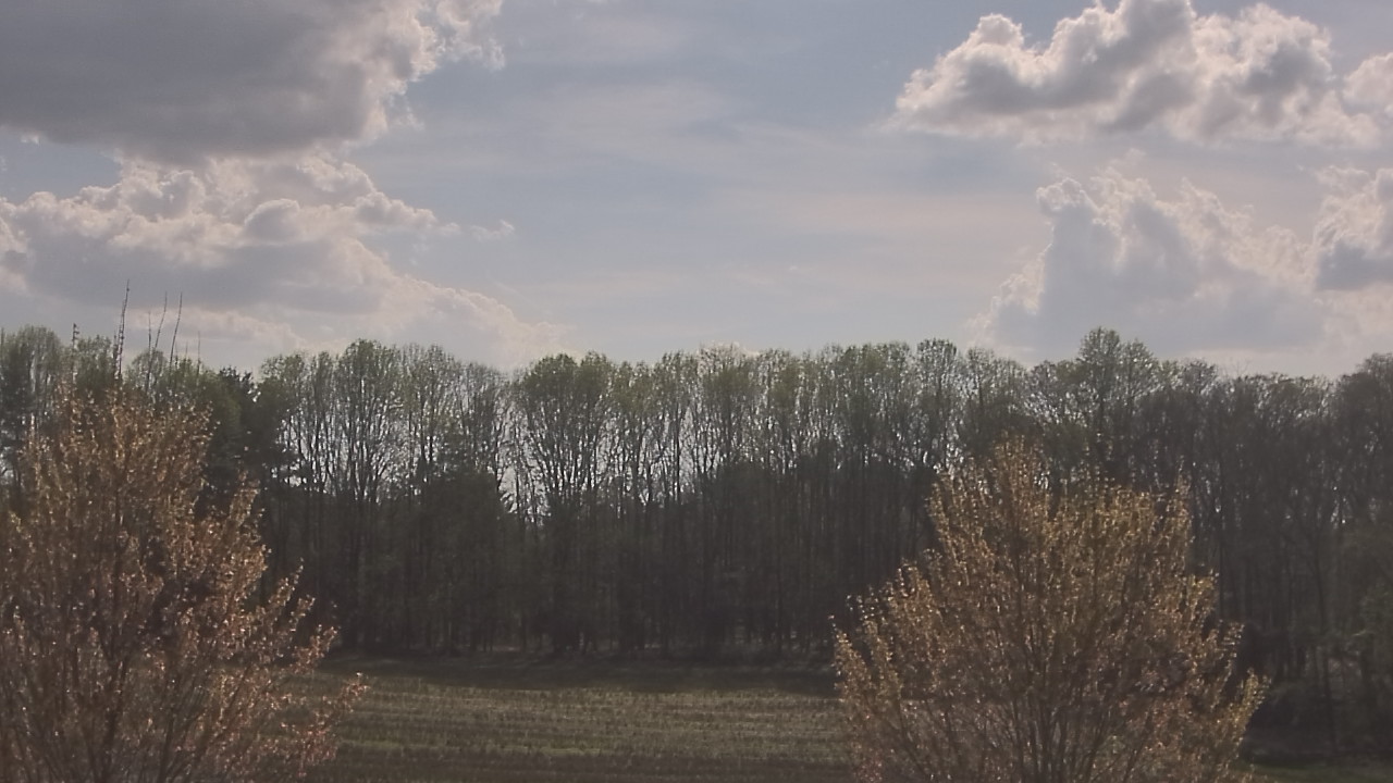 Thumbnail for current weather camera view from Mary of Nazareth School in Darnestown, Maryland