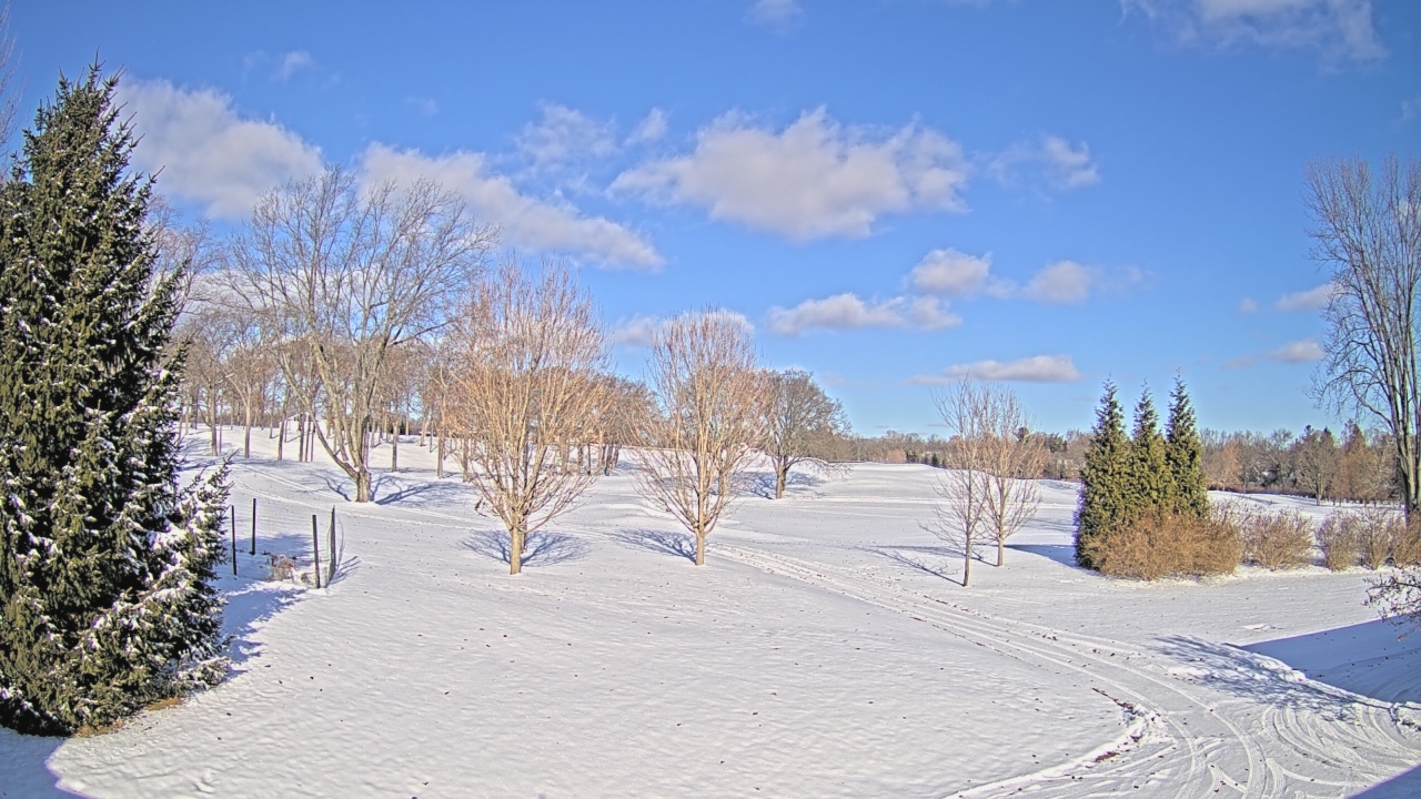 Thumbnail for current weather camera view from Franklin Hills Country Club in Farmington Hills, Michigan