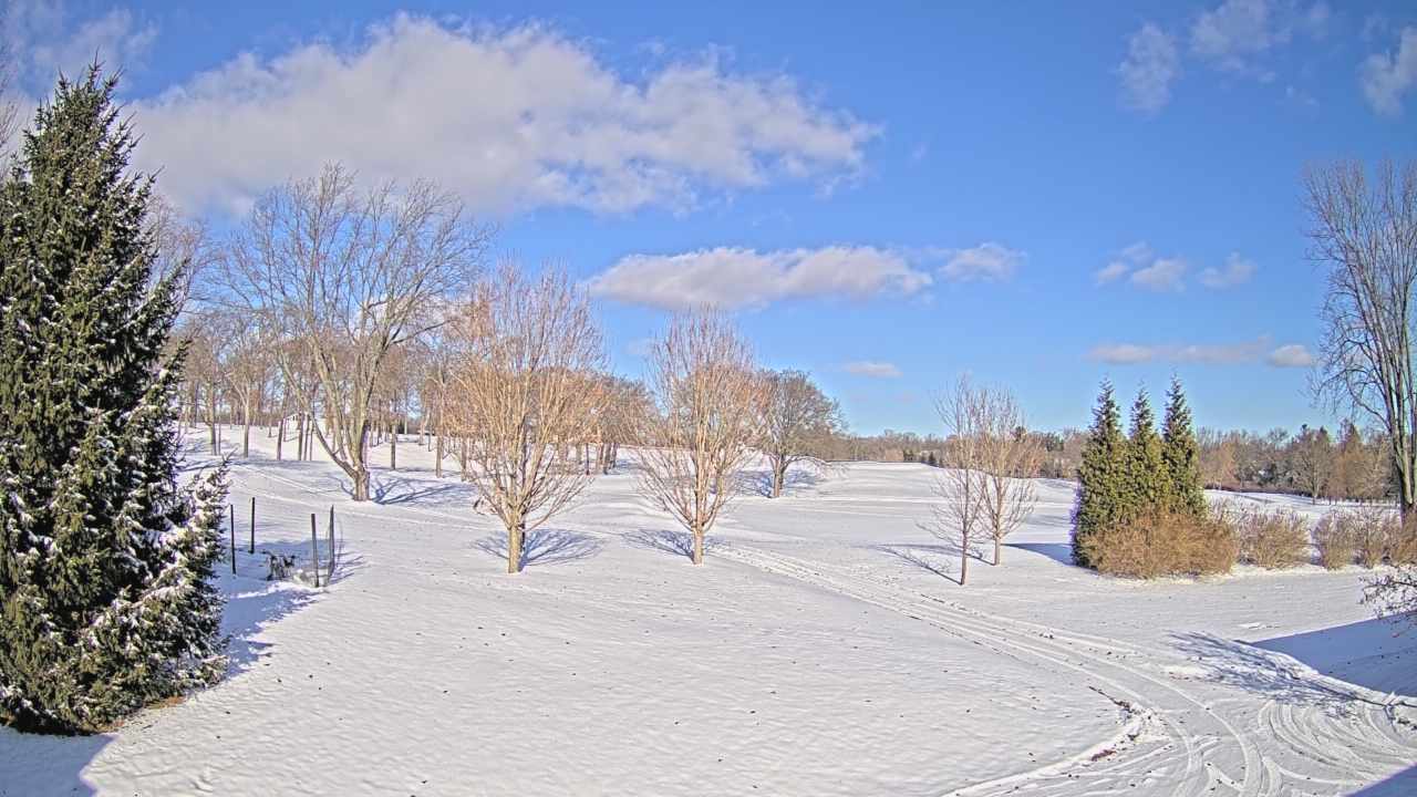 Thumbnail for current weather camera view from Franklin Hills Country Club in Farmington Hills, Michigan