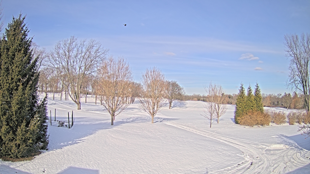 Thumbnail for current weather camera view from Franklin Hills Country Club in Farmington Hills, Michigan