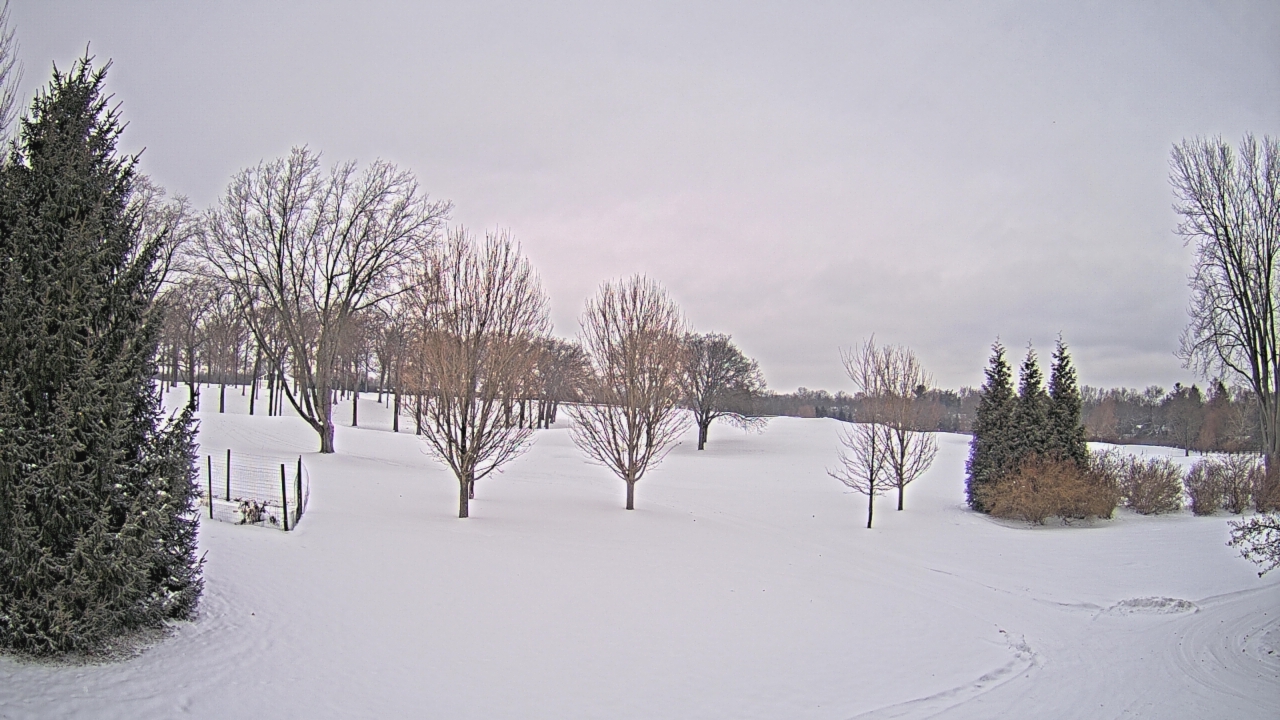Thumbnail for current weather camera view from Franklin Hills Country Club in Farmington Hills, Michigan