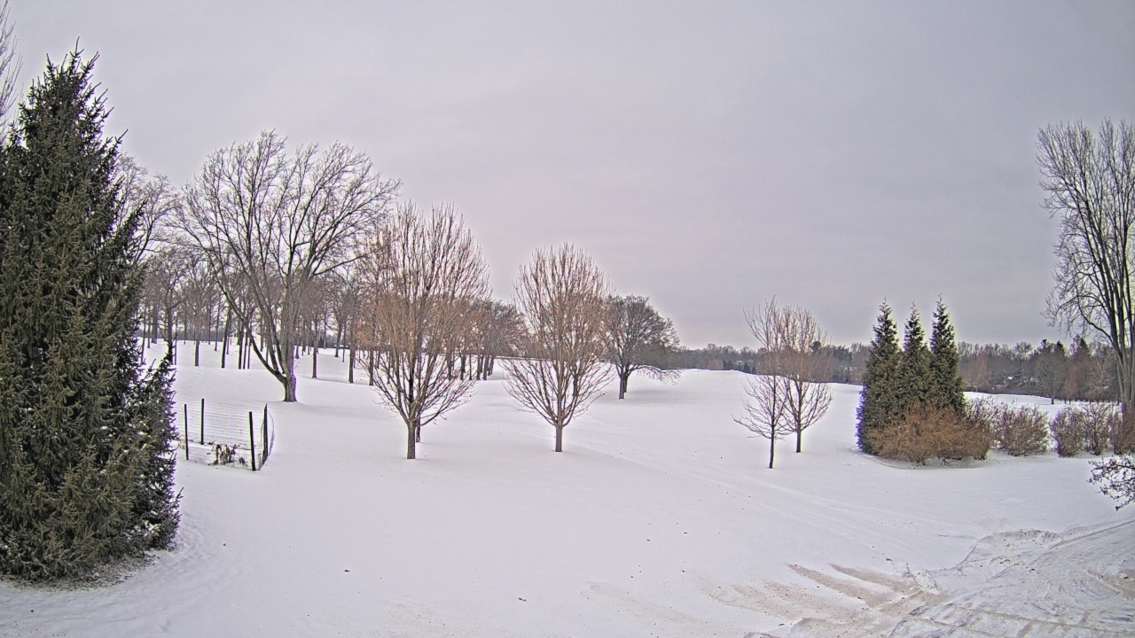 Thumbnail for current weather camera view from Franklin Hills Country Club in Farmington Hills, Michigan