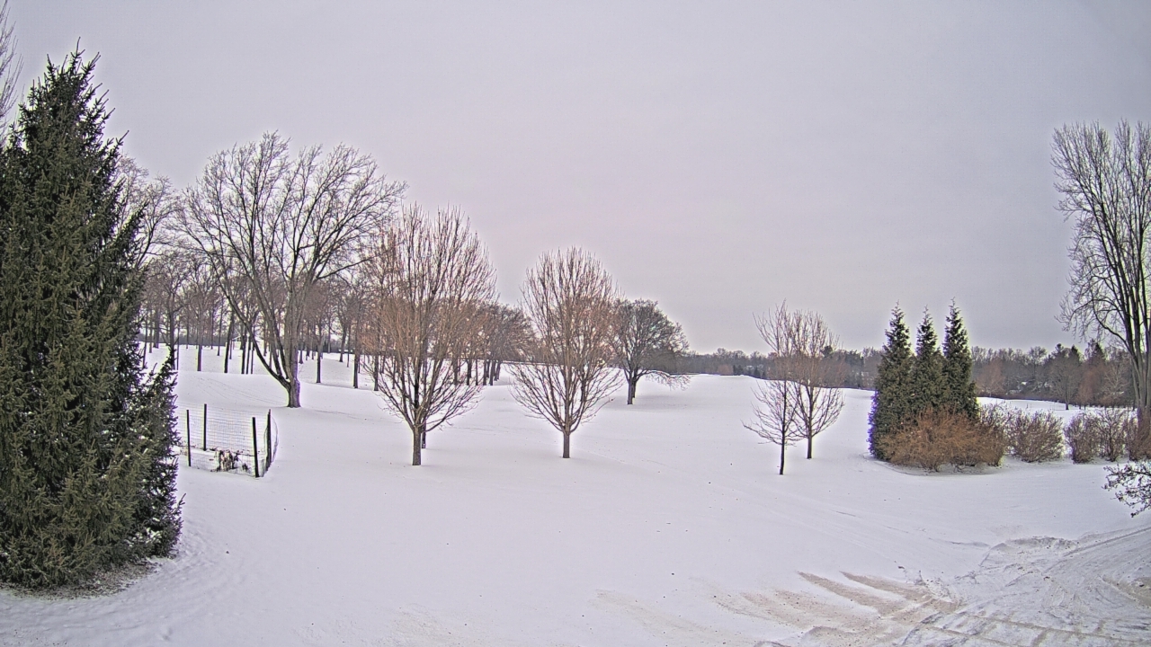 Thumbnail for current weather camera view from Franklin Hills Country Club in Farmington Hills, Michigan
